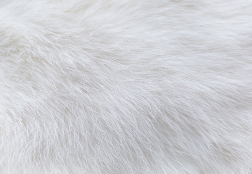 Textura de pelo de conejo y lana
